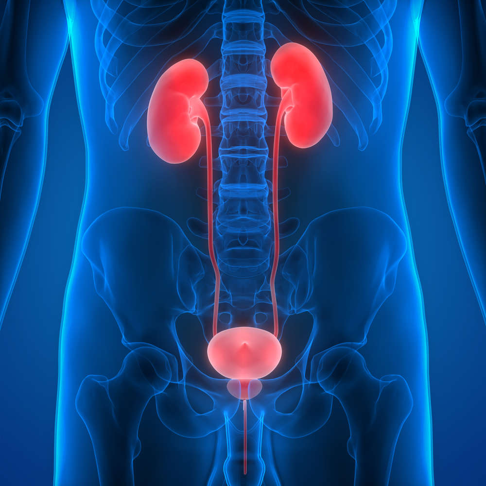 Physiotherapy and Osteopathy Treatment of Urinary Stress Incontinence